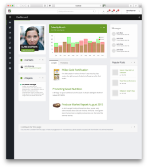 Business Portal Dashboard